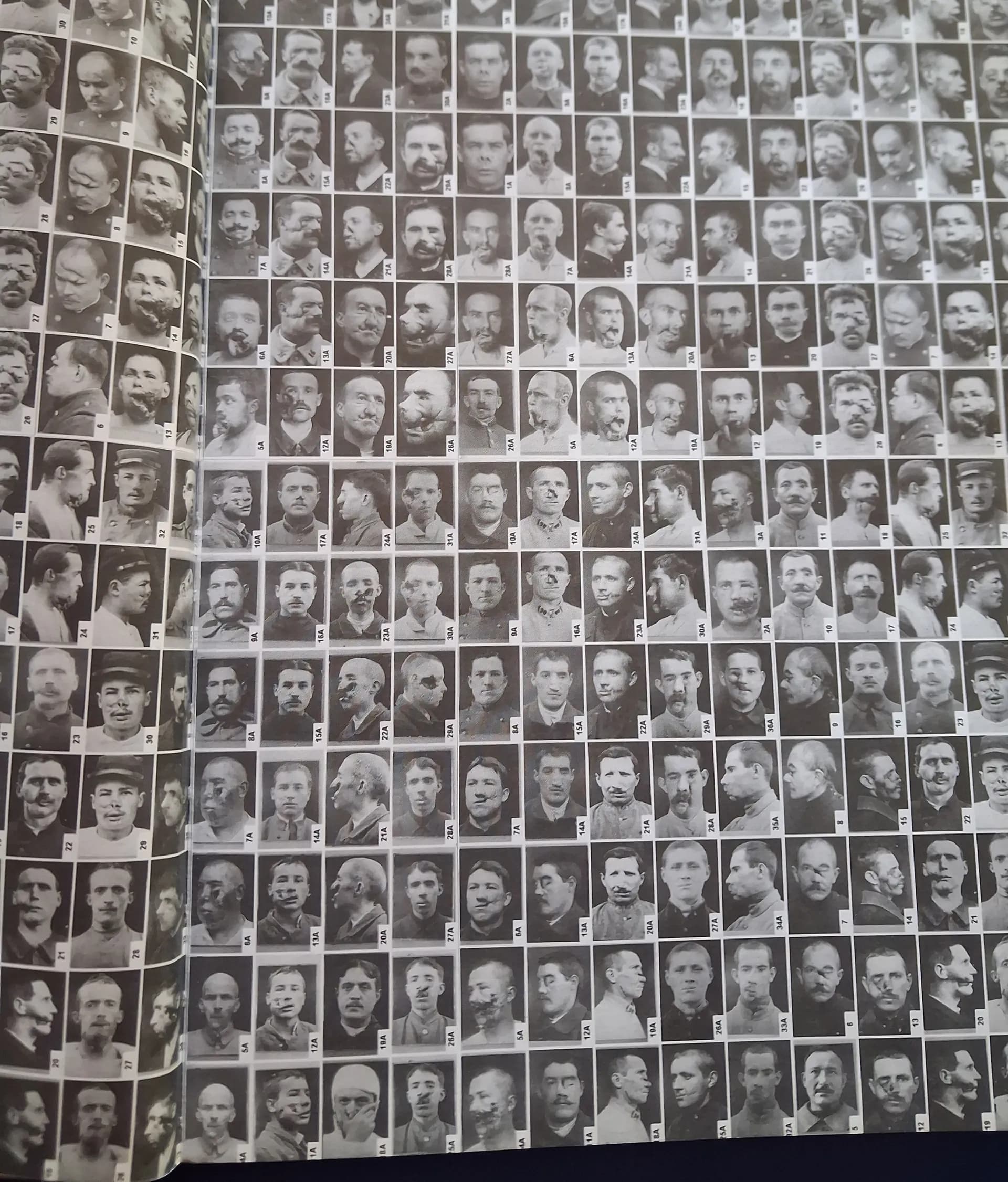 Livre "les gueules cassés" Martin Monestier - 3
