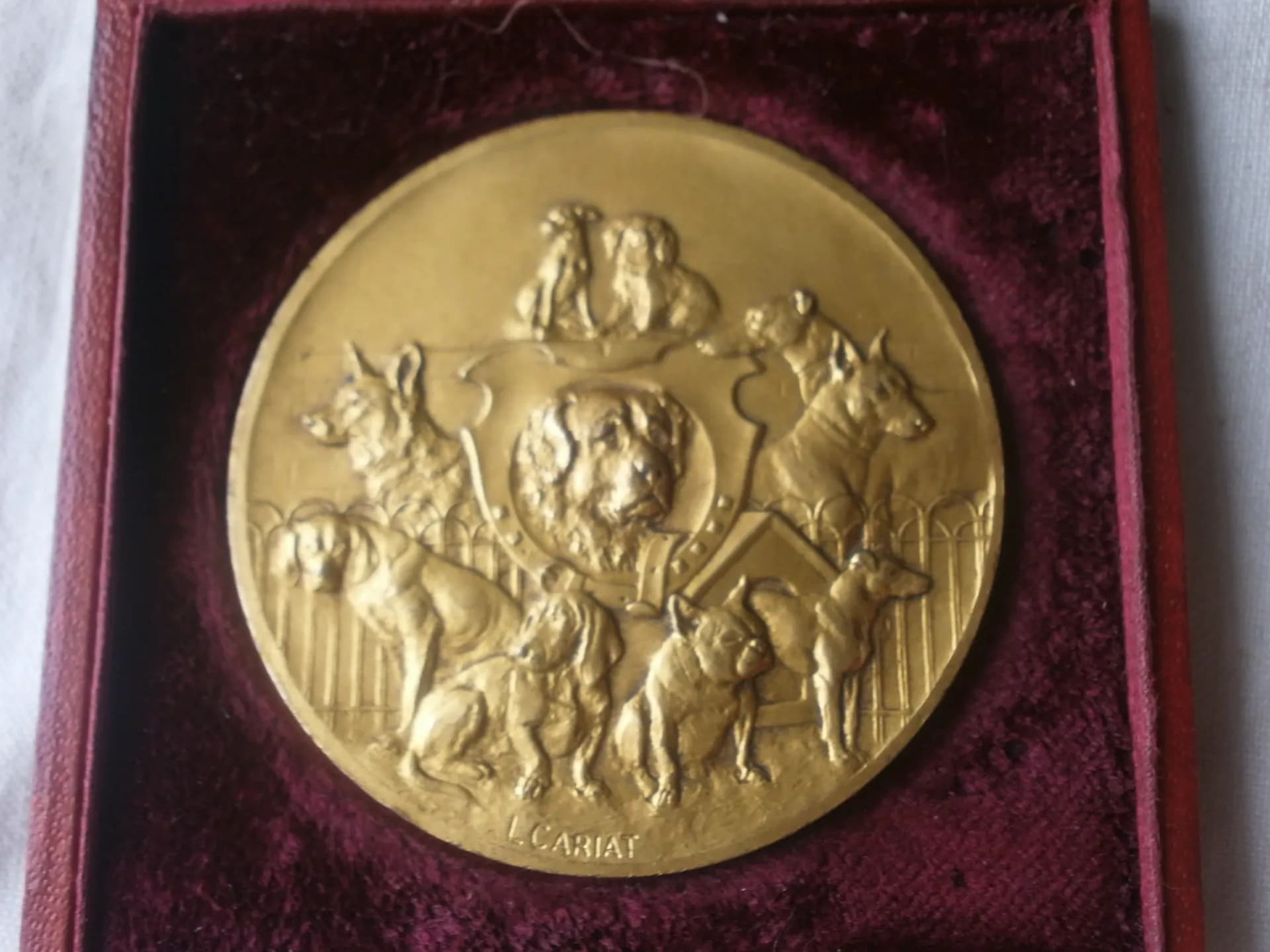 Médaille de table bronze. Société canine Maine-Anjou-Touraine L Cariat - 6