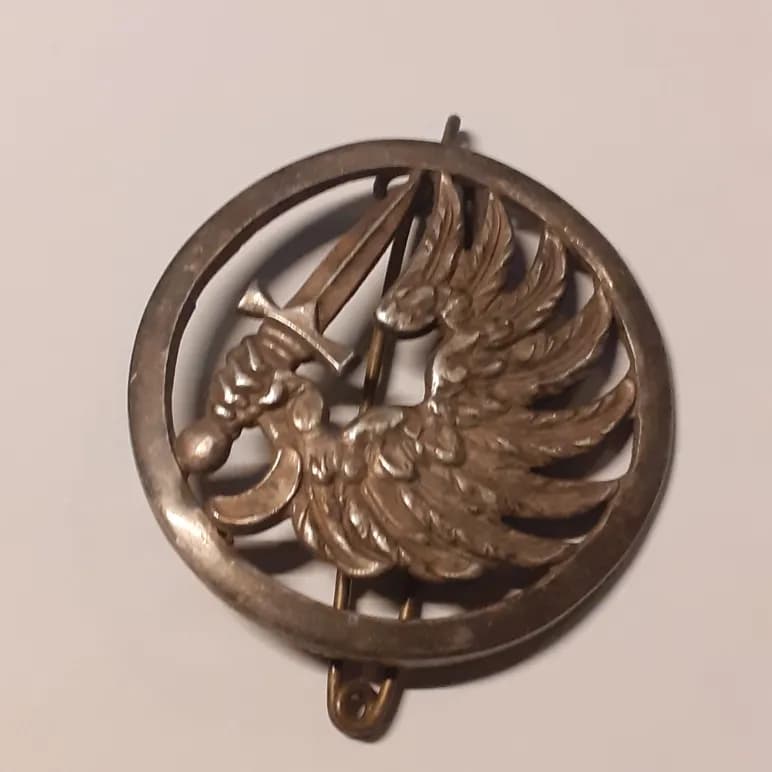 insigne de béret parachutiste sans marque - 1