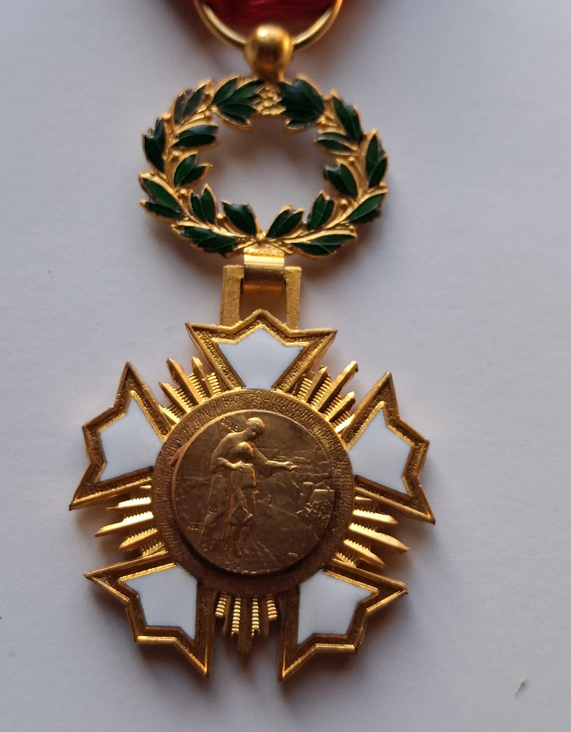 Médaille : Académie D'Intérêt Public Patrie Art Humanisme Civisme - 2