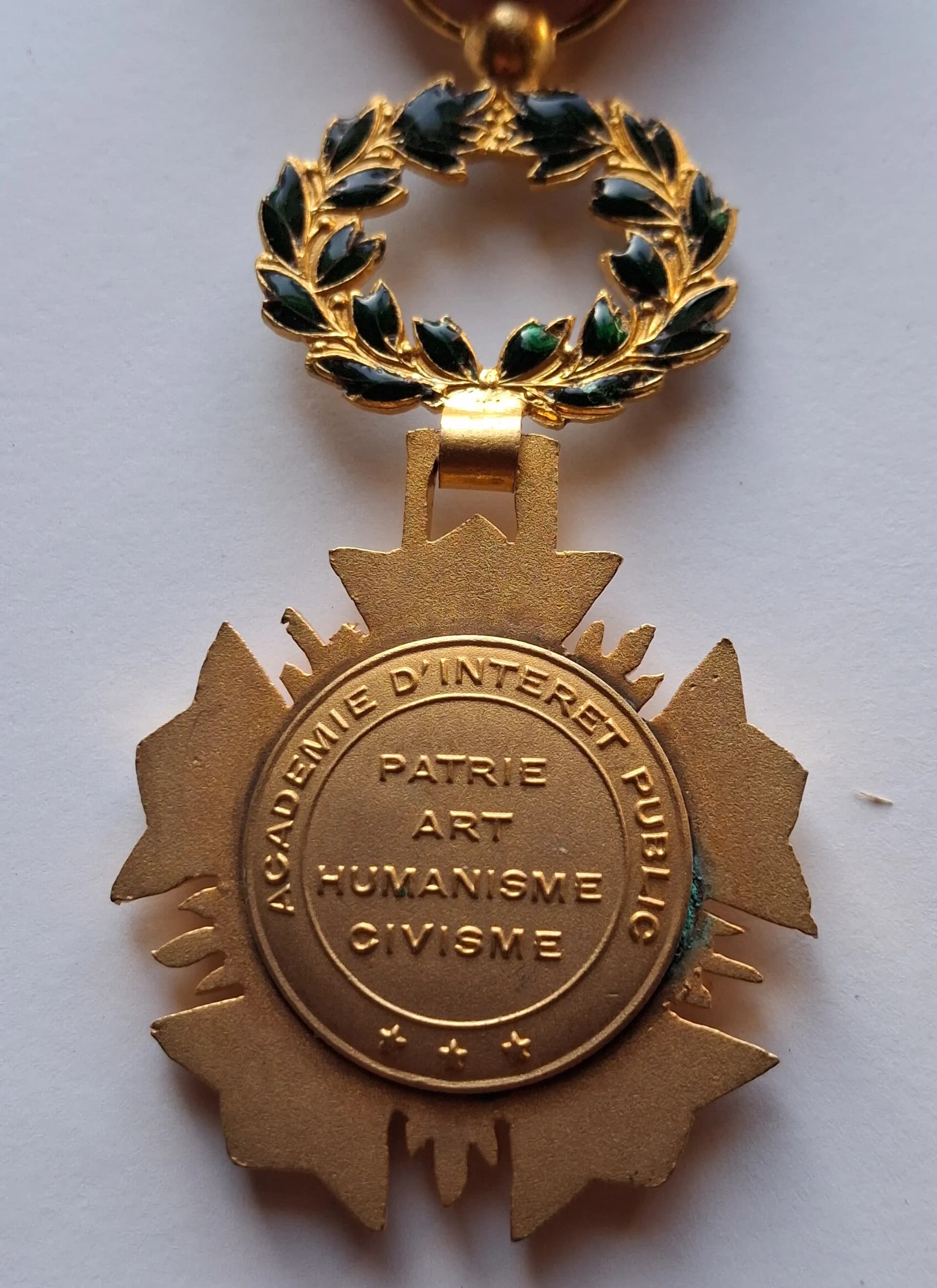 Médaille : Académie D'Intérêt Public Patrie Art Humanisme Civisme - 1