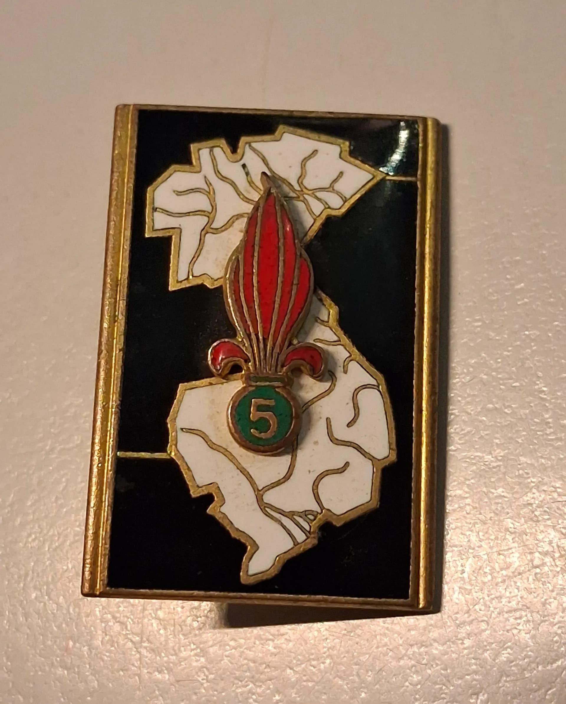 Insigbe 5e REI  - 1
