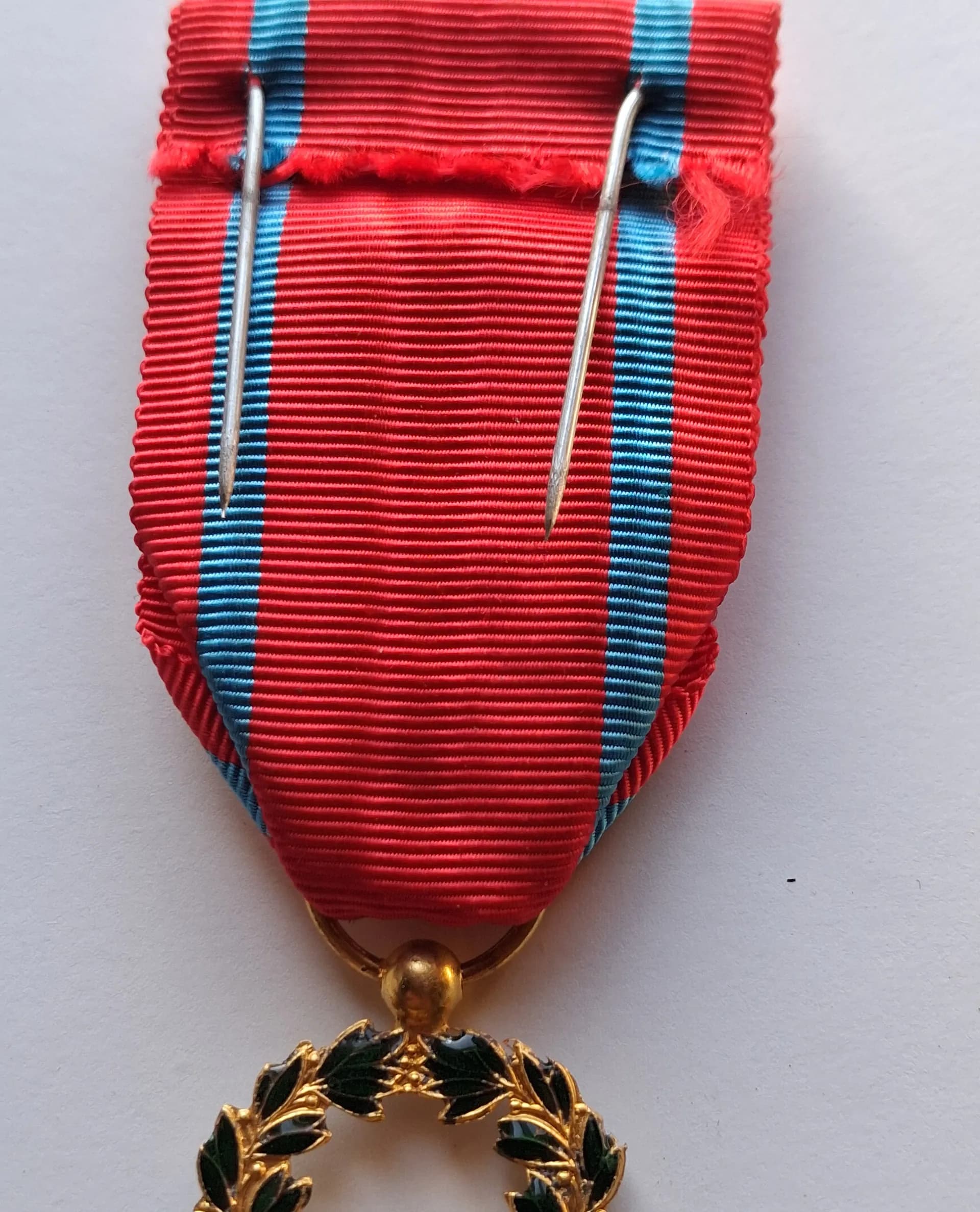 Médaille : Académie D'Intérêt Public Patrie Art Humanisme Civisme - 5