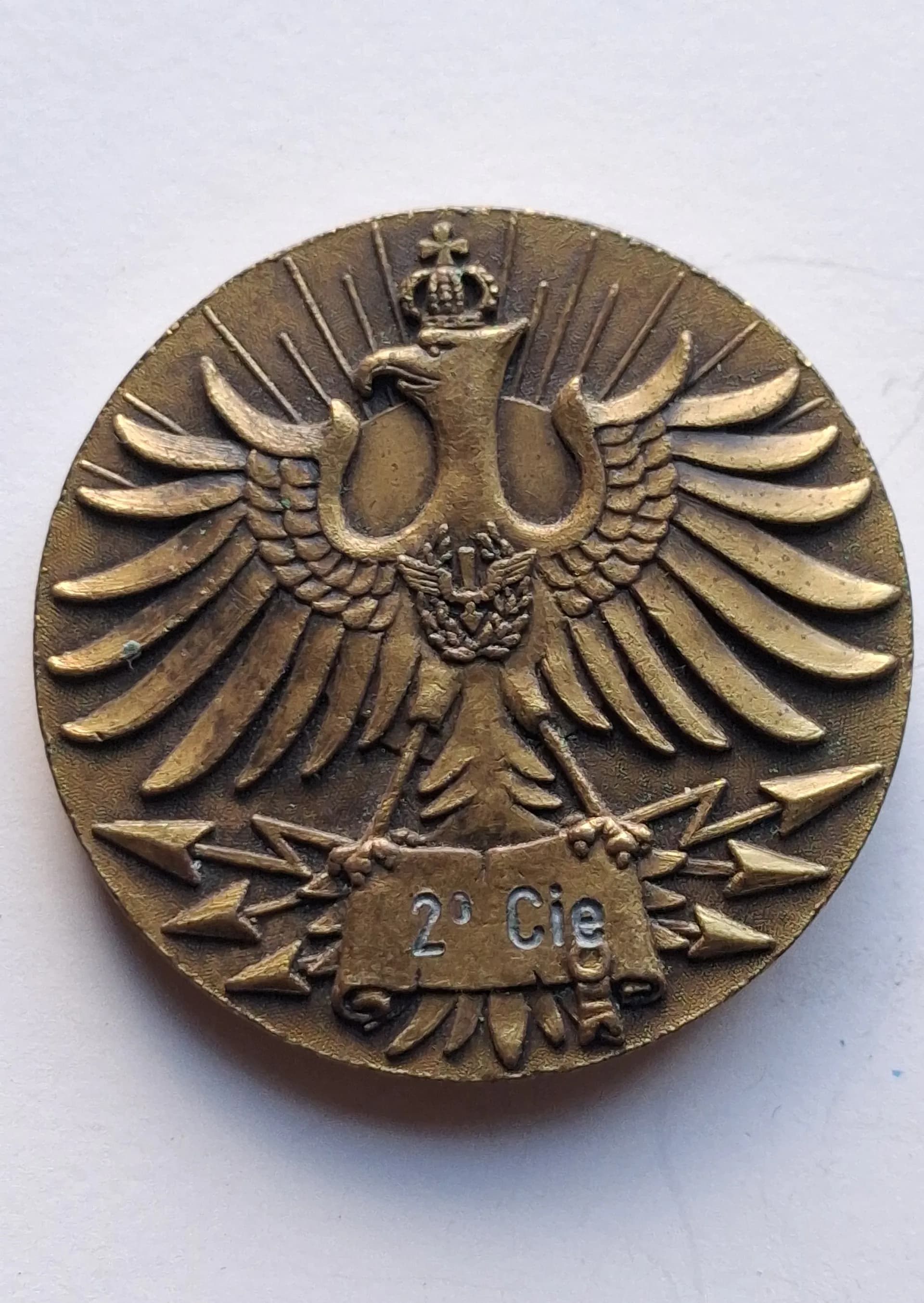 Medaille de table 13e RDP 2e escadron - 2
