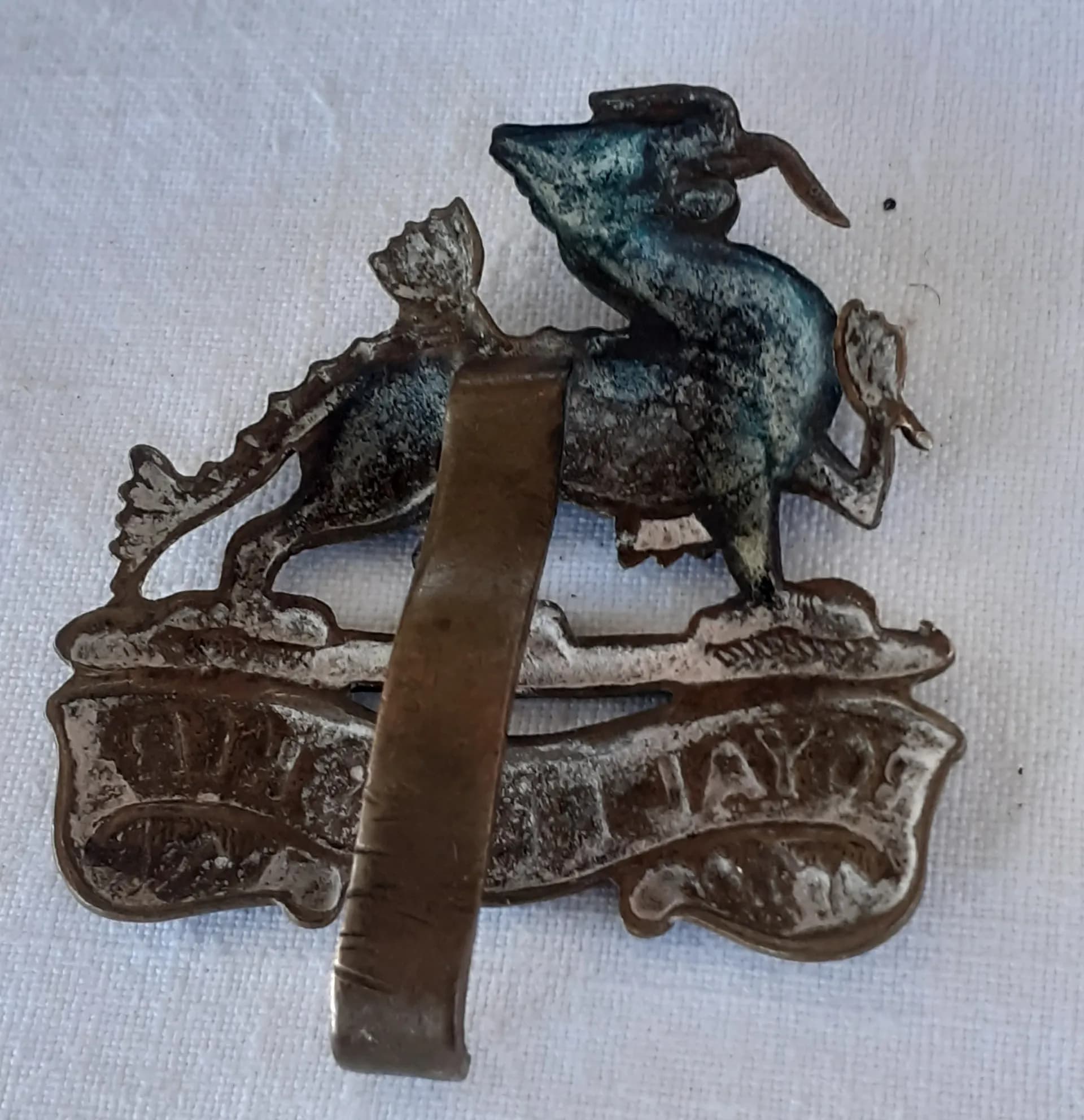 Cap badge royal Berkshire regiment - 2