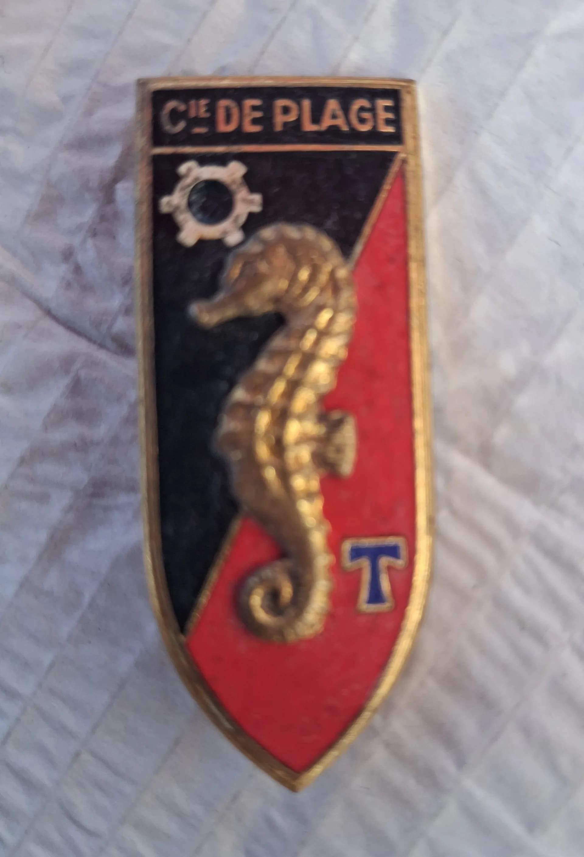 Insigne compagnie de plage du génie  - 1