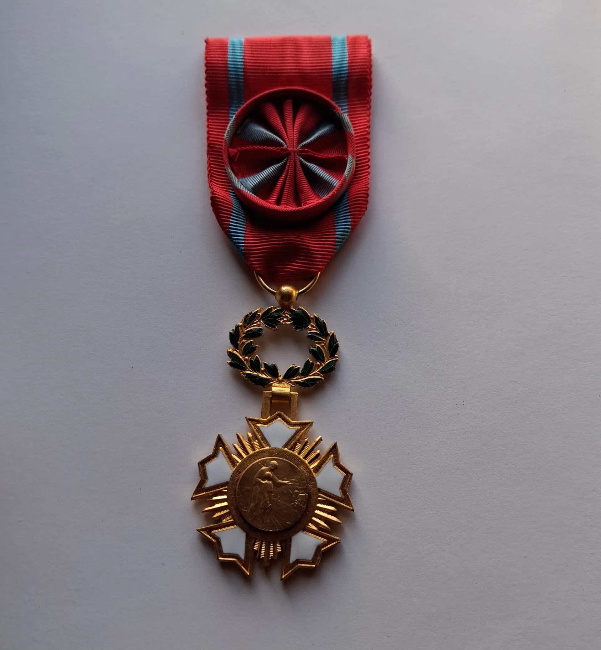 Médaille : Académie D'Intérêt Public Patrie Art Humanisme Civisme - 3